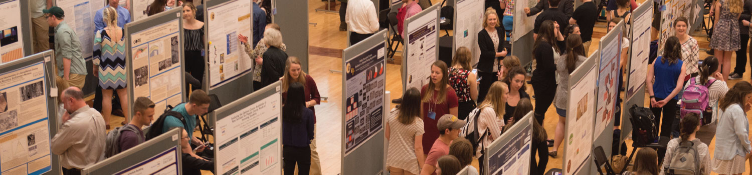 Students presenting posters on the main fair floor